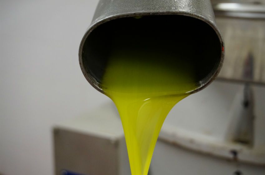 You are currently viewing Discover the health benefits and secrets of extra virgin olive oil