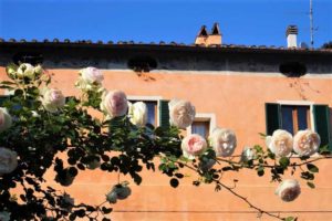 Read more about the article Springtime – the perfect time to visit Tuscany’s small towns and countryside